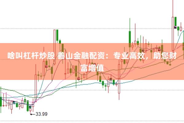 啥叫杠杆炒股 善山金融配资：专业高效，助您财富增值