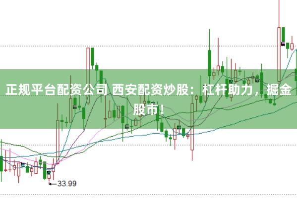 正规平台配资公司 西安配资炒股：杠杆助力，掘金股市！