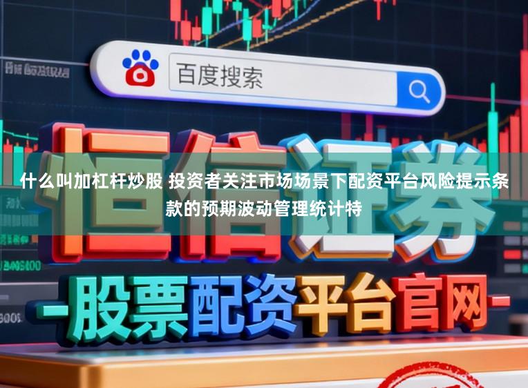 什么叫加杠杆炒股 投资者关注市场场景下配资平台风险提示条款的预期波动管理统计特