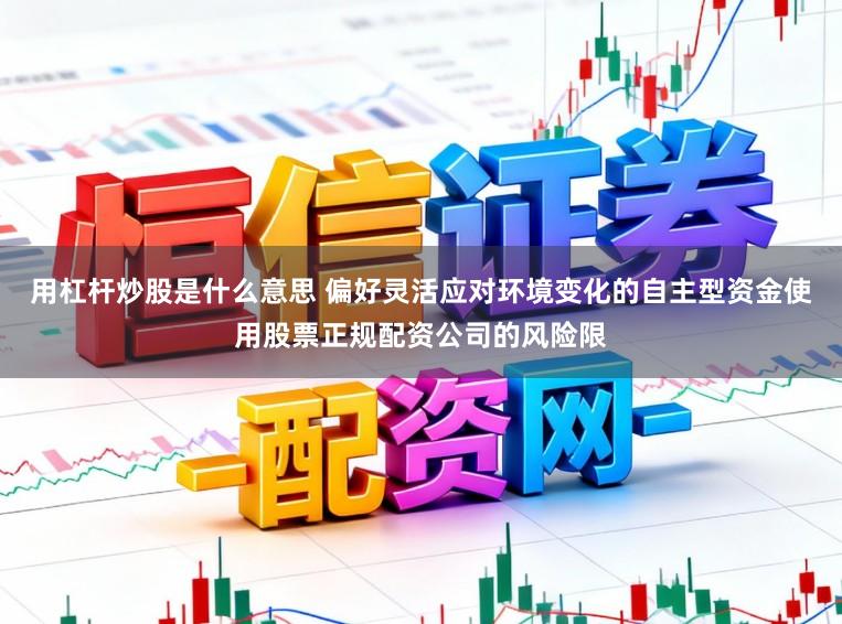 用杠杆炒股是什么意思 偏好灵活应对环境变化的自主型资金使用股票正规配资公司的风险限